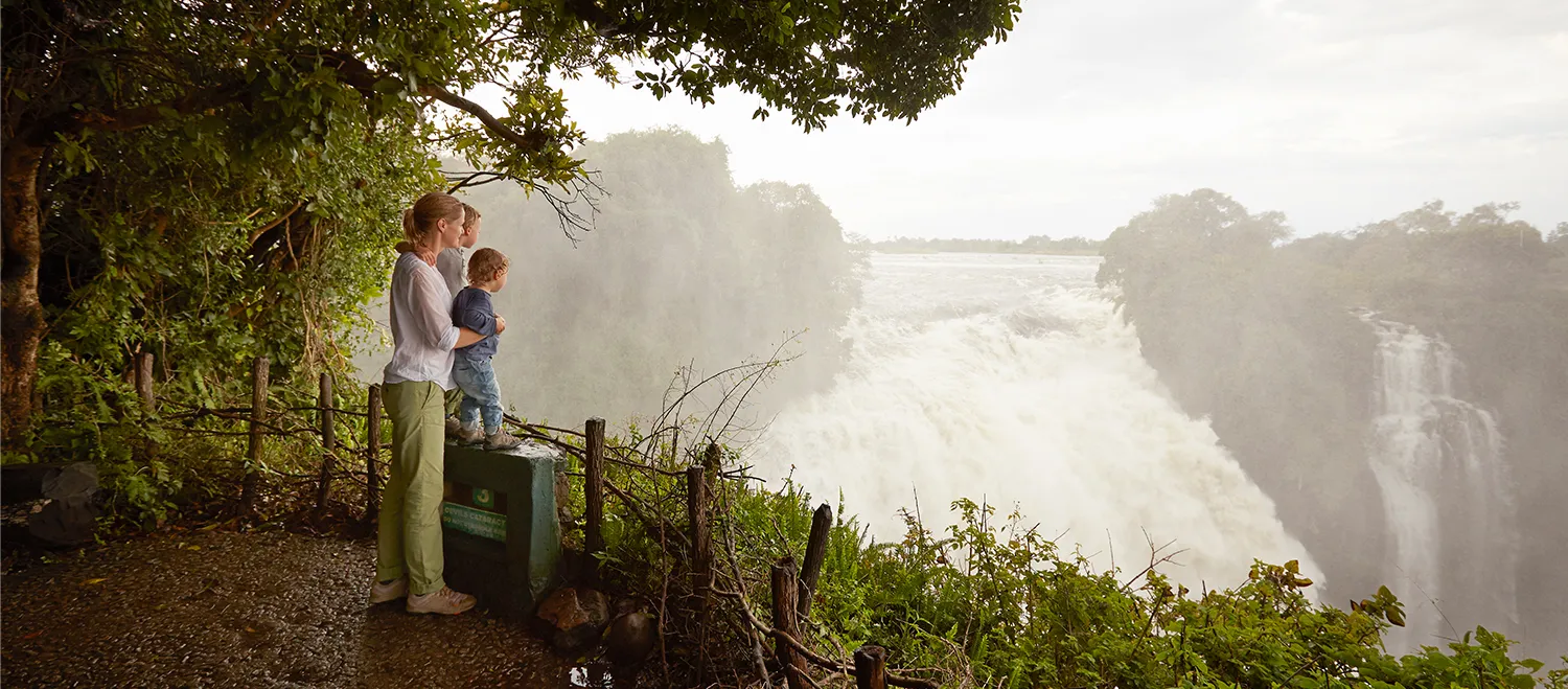 Victoria Falls Banner